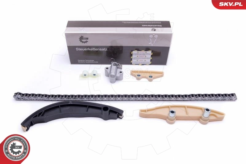 Timing Chain Kit